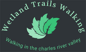 WETLANDS TRAILS WALKING