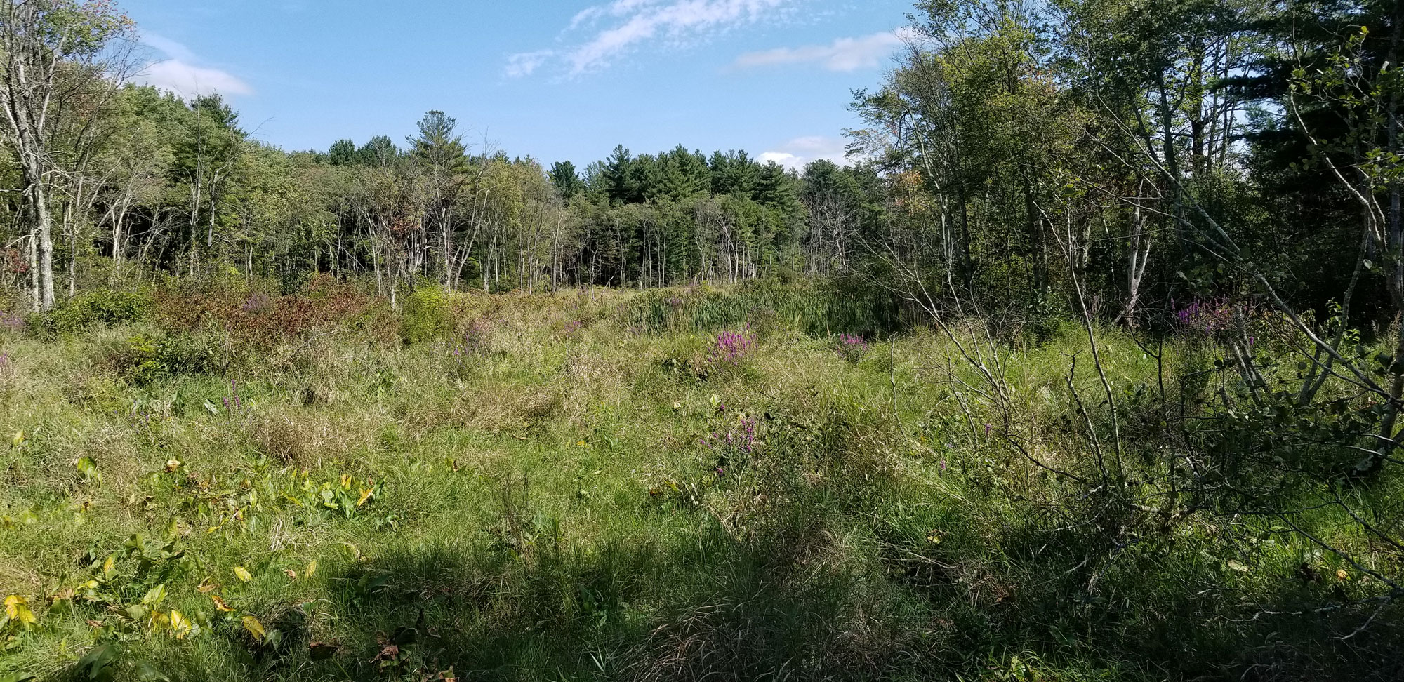 Welcome To Wetlands Trails Walking